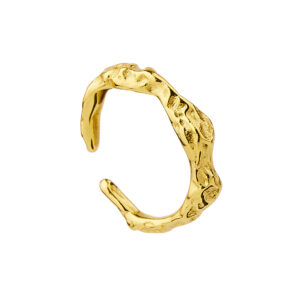 Pozlacené Ear Cuff Tepané cute